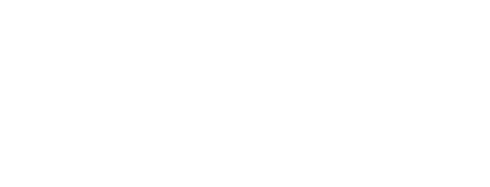Logo Society of NLP